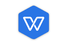 WPS Office 2019 v11.8.6.8697 政府专业版